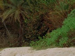 Replay Lost : les disparus - S3 E16 - Une des nôtres