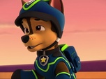 Replay Paw Patrol, la Pat'Patrouille - Des manchots en détresse
