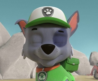 Replay Paw Patrol, la Pat'Patrouille - La Pat' Patrouille rencontre les Super Chats