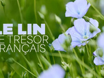 Replay Le lin, ce trésor français