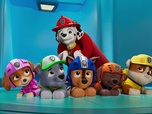 Replay Paw Patrol, la Pat'Patrouille - La Pat' Patrouille des Airs : Le sauvetage de l'avion royal