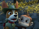 Replay Paw Patrol, la Pat'Patrouille - Super Chats : le rugissement du chat