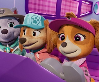 Replay Paw Patrol, la Pat'Patrouille - Sur la route avec Stella : Le Parc de l'Os dOr