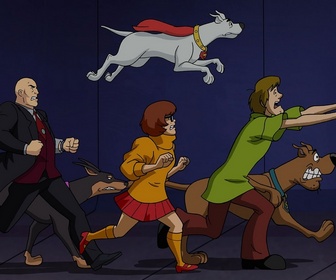Replay Scooby-Doo et Krypto !