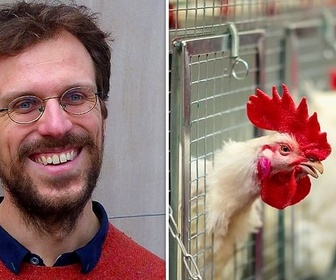 Replay Recycler nos excréments / La consommation de poulet - 28 minutes