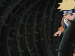 Replay Naruto - S7 E22 - Creuse, baisse-toi et trouve le trésor !