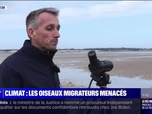 Replay C'est votre vie - Climat: les oiseaux migrateurs menacés - 13/01