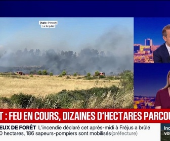 Replay 60 minutes Fauvelle - Mercredi 1er juillet
