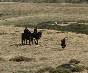 Replay ARTE Journal - Anima, chorégraphies pastorales dans le Massif central