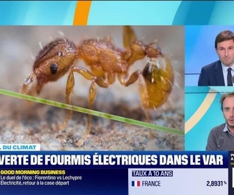 Replay BFM Climat - Vendredi 29 novembre