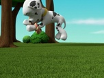 Replay Paw Patrol, la Pat'Patrouille - L'Aqua Patrouille : La perle violette