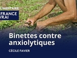 Replay La France en Vrai - Grand Est - Binettes contre anxiolytiques
