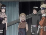 Replay Naruto - S7 E3 - La vengeance de Raïga