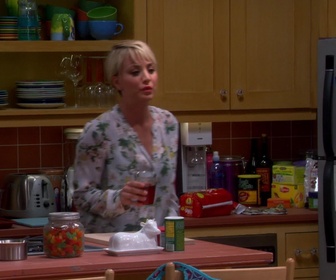 Replay The Big Bang Theory - S8E6 - L'expérience de la mine