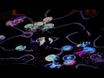 Replay La Bulgarie illumine sa côte de la mer Noire avec un festival d'art numérique
