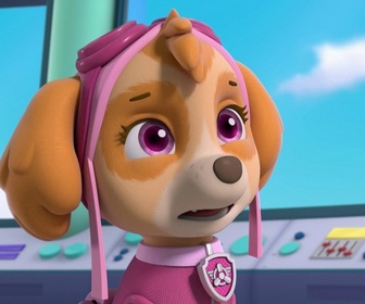 Replay Paw Patrol, la Pat'Patrouille - Les aventurières du ciel