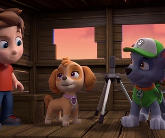 Replay Paw Patrol, la Pat'Patrouille - Monsieur Hellinger s'illumine