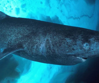 Replay C pas si loin - 25/03/2026