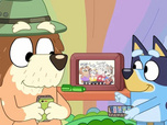 Replay Bluey - 29/04/2026