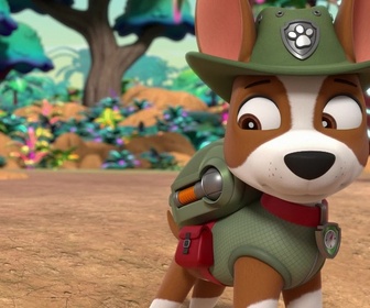 Replay Paw Patrol, la Pat'Patrouille - Mission Jungle : Une grande découverte