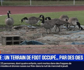 Replay BFM Première prématinale - Focus Régions - 29/08