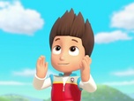 Replay Paw Patrol, la Pat'Patrouille - Un atterrissage forcé