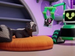 Replay Paw Patrol, la Pat'Patrouille - Des animaux très chics