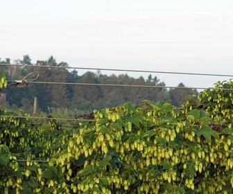 Terroirs d'Europe replay