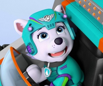 Replay Paw Patrol, la Pat'Patrouille - Il neige sur la jungle