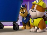 Replay Paw Patrol, la Pat'Patrouille - Des ours dans la ville