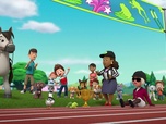 Replay Paw Patrol, la Pat'Patrouille - La course de grenouilles