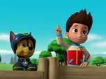 Replay Paw Patrol, la Pat'Patrouille - Le miel a disparu !
