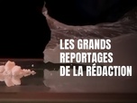 Replay Les reportages du 20h - Les grands reportages de la rédaction - MEXIQUE, les cartels font la loi