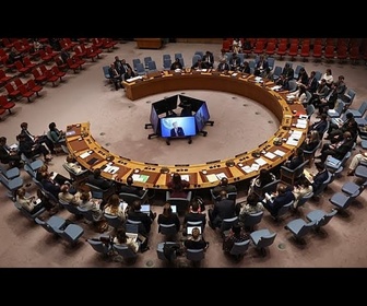 Replay L'Allemagne échoue pour la première fois à obtenir un siège au Conseil de sécurité de l'ONU