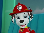 Replay Paw Patrol, la Pat'Patrouille - La Pat'Patrouille et le petit loup blanc