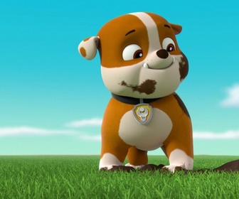 Replay Paw Patrol, la Pat'Patrouille - Le shampoing volumateur