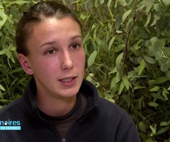 Replay Vétérinaires : leur vie en direct - Les otaries vont chez le dentiste !