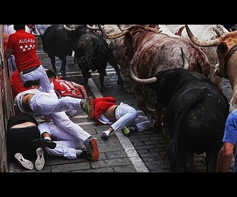 Replay Le festival de San Fermín débute avec la célèbre course de taureaux de Pampelune
