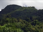 Replay Invitation au voyage - 31/10/2024 - El Yunque, la forêt enchantée de Porto Rico