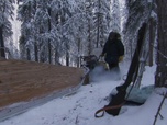 Replay Seuls face à l'Alaska - S6E1 - Le point de non-retour