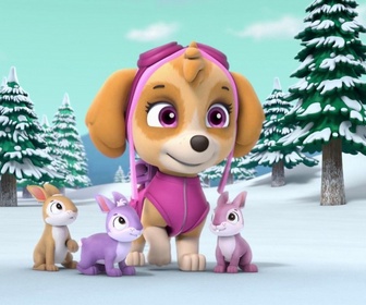 Replay Paw Patrol, la Pat'Patrouille - La tempête de neige