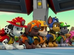 Replay Paw Patrol, la Pat'Patrouille - Mission Dino : Course folle dans la jungle