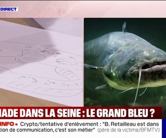 Replay Apolline de 9 à 10 - Il ne va pas s'attaquer à un être humain: Bill François, biophysicien, décrit le rôle du silure dans la Seine