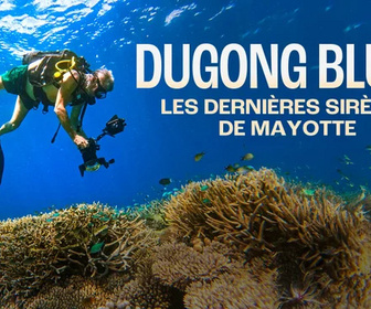 Replay La ligne bleue