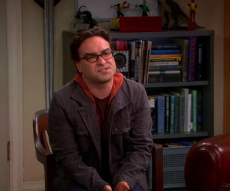 Replay The Big Bang Theory - S6E4 - La minimisation du retour