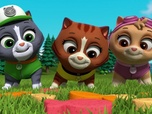 Replay Paw Patrol, la Pat'Patrouille - La piñata d'anniversaire