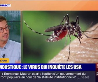 Replay L'image du jour - Un moustique porteur d'un virus mortel inquiète les États-Unis