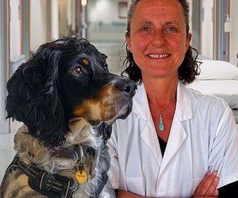 Replay 28 minutes - Des chiens qui ont du pif