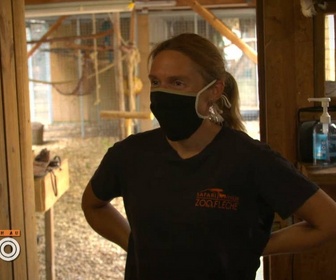 Replay Une saison au zoo - S12 E30