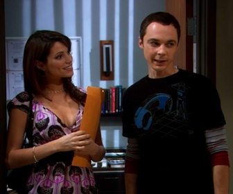 Replay The Big Bang Theory - S1E15 - La soeur jumelle